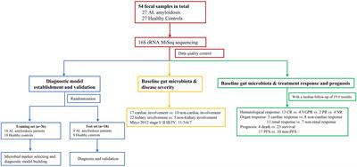 Alterations of the gut microbiota in patients with immunoglobulin light chain amyloidosis